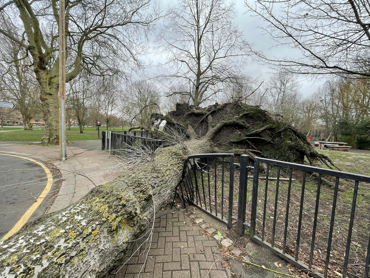 Storm and wind damage to residential property, black and white
